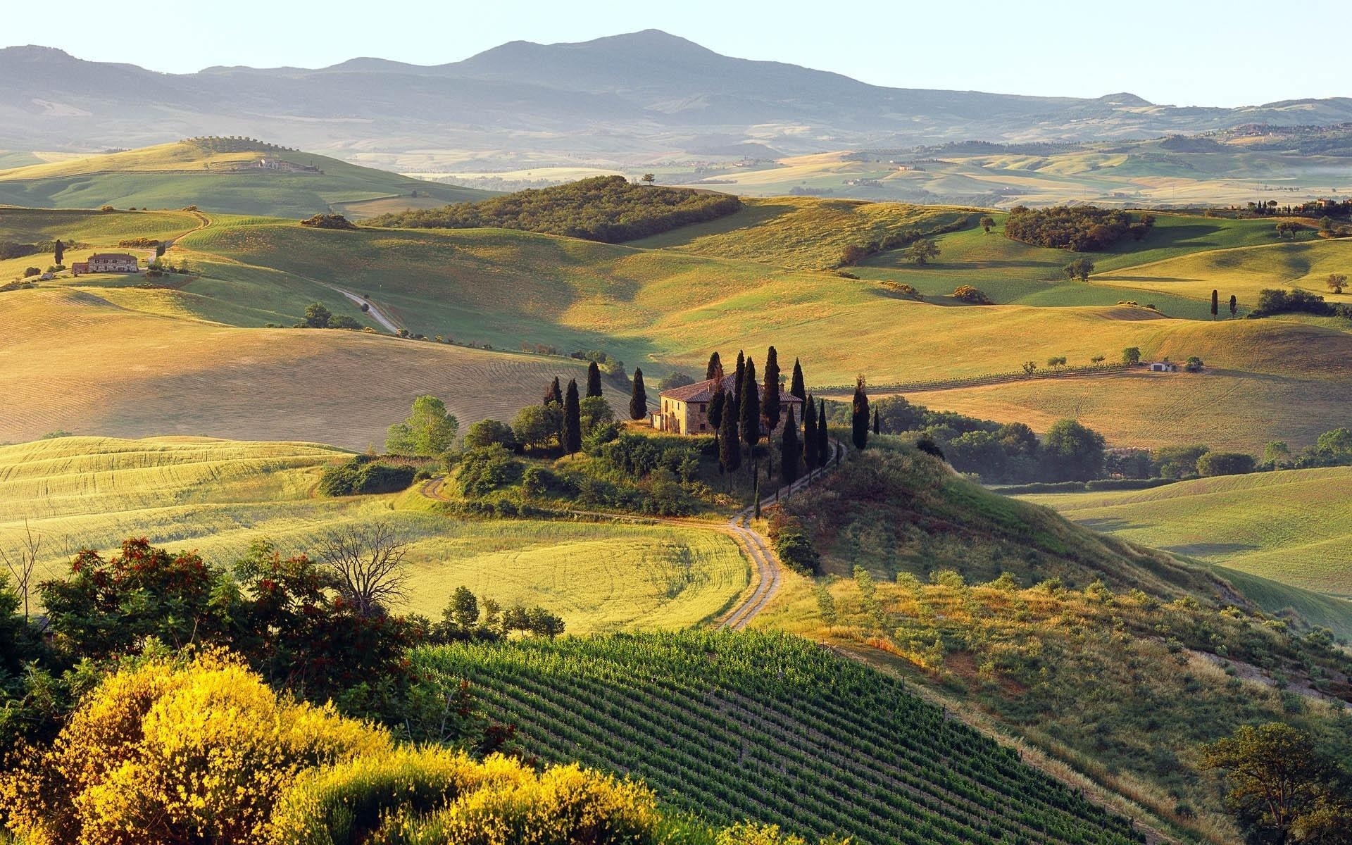 tour of siena and san gimignano from florence