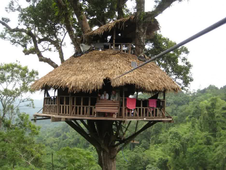 Easy Simple Tree House Design Plans