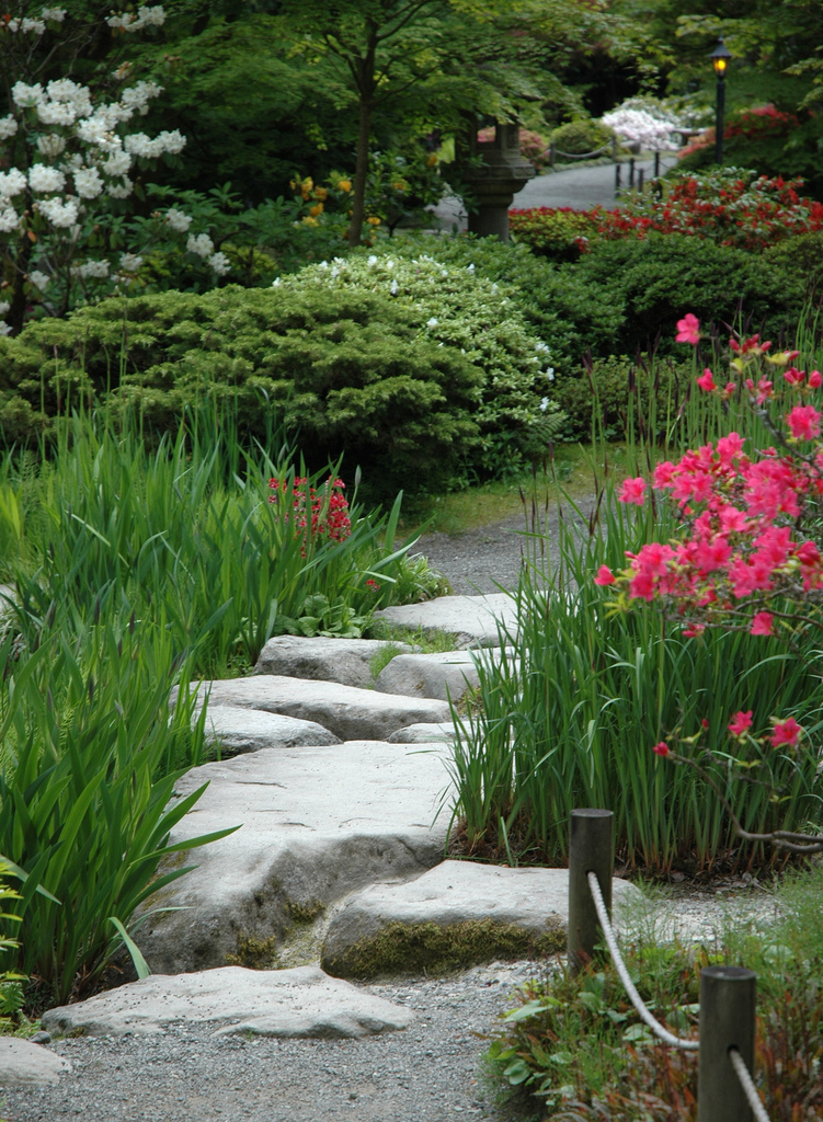 Garden Stepping Stone Design and Ideas - InspirationSeek.com