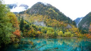 Wuhua Hai, Five-Flower Lake In Jiuzhaigou Valley, China ...