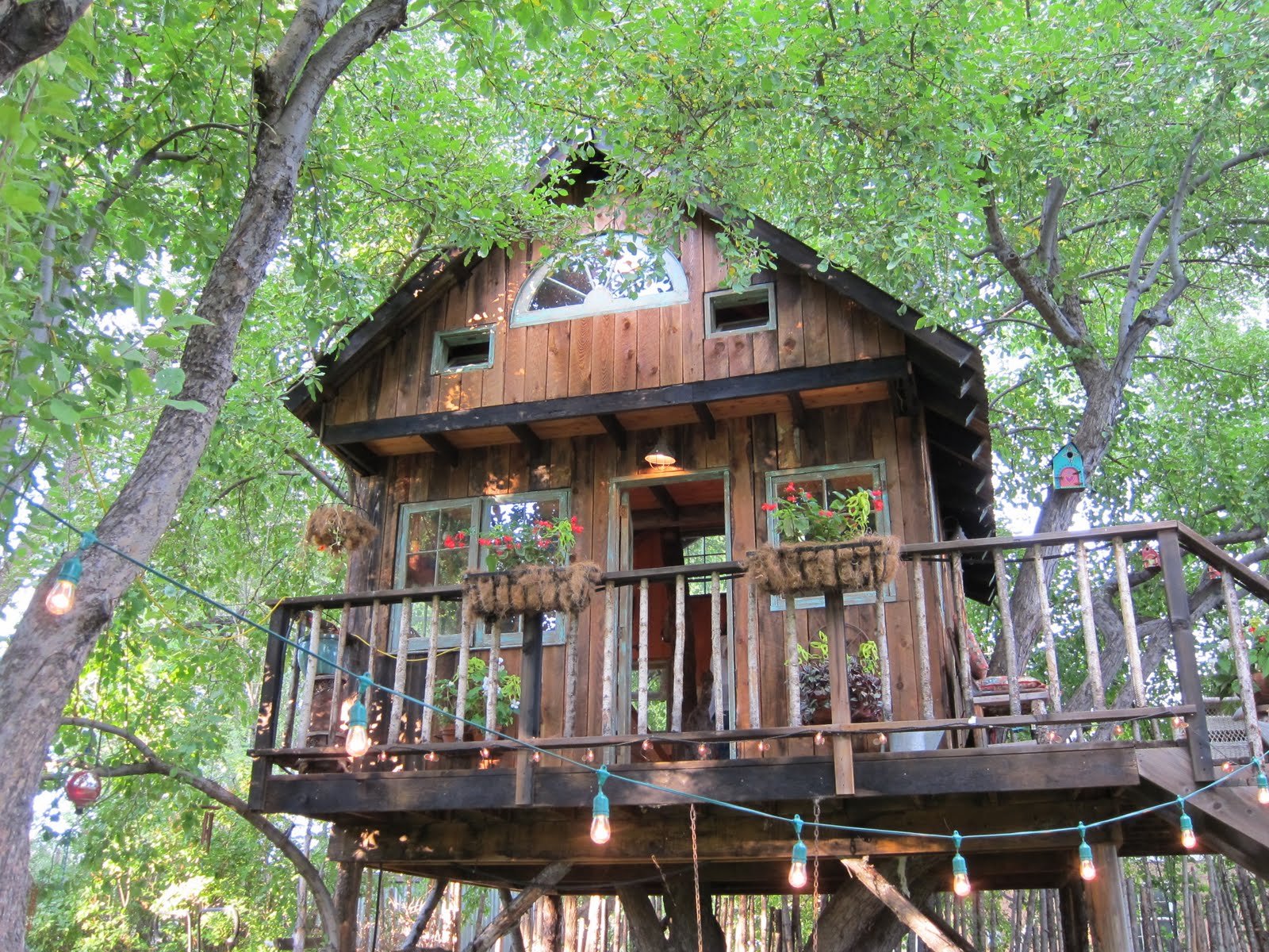 Tree House Design Ideas For Modern Family InspirationSeek