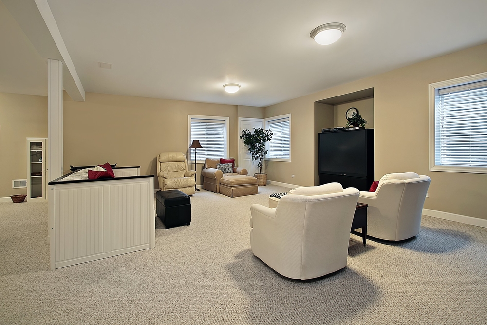 Modern Basement Living Room Ideas