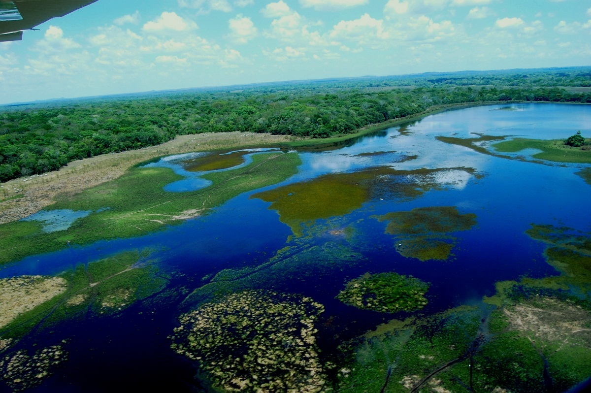 Pantanal Wetlands Brazil Photo
