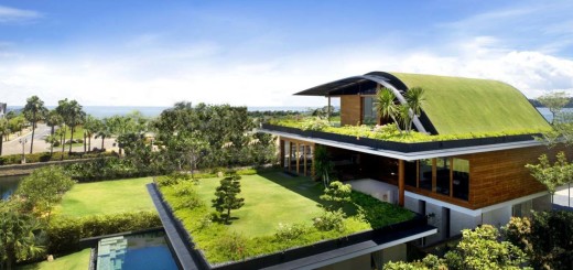 Beautiful Modern Roof Garden Design