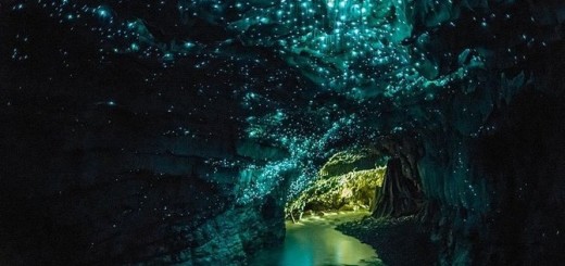 Waitomo Caves At Night, New Zealand