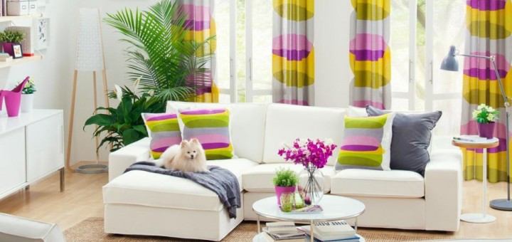 Accent Pillows For Sofa and Curtains in Modern Living Room