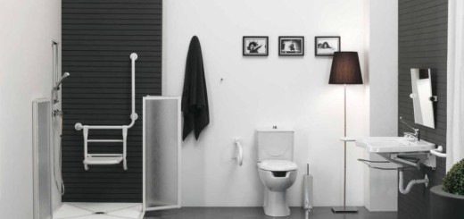 Stylish Modern Bathroom Design For Disabled People