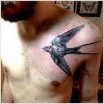 Bird Chest Tattoos For Men