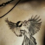 Bird Tattoos For Men on Chest