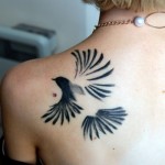 Bird Tattoos For Women on Back Shoulder