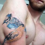 Couple Birds Tattoos For Men on Shoulder