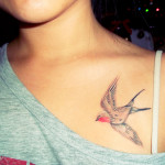Small Bird Tattoos on Chest For Women