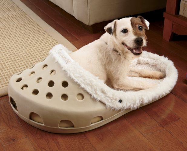 Creative Dog Beds with Shoe Shaped