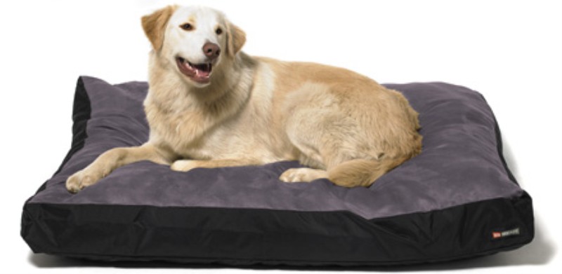 Eco-friendly Dog Beds Pictures