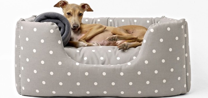 Luxury Dog Beds Pictures