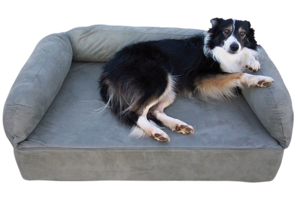 The Benefits of Dog Beds For You and Your Dog