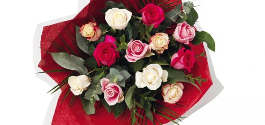 Valentine's Day Roses Ideas with Various Roses Color