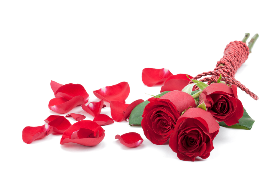 Valentine's Day Roses Petals Ideas