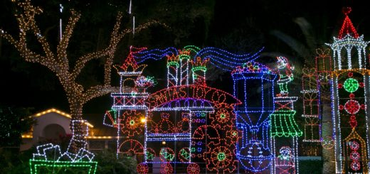 Christmas Lights Ideas For Outdoor