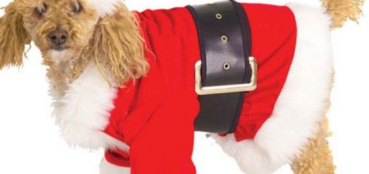 Santa Christmas Outfits Ideas for Dogs 2017