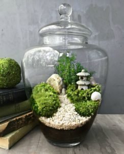 Terrarium Ideas, Bring A Miniature Natural Scene in A Glass Container ...