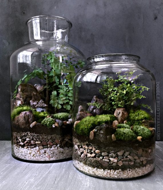 Terrarium Ideas, Bring A Miniature Natural Scene in A Glass Container